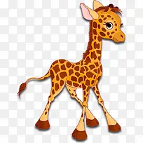 动物-空若网 动物-空若网