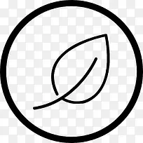 ��Ҷ����ͼ��-������