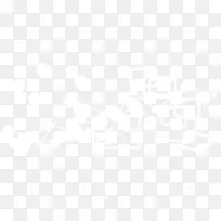 ���ݷ���ͼ-������