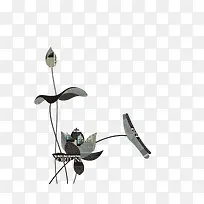 �й���-������