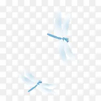 ��ɫ���ѵ���-������