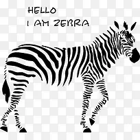 个性创意矢量卡通斑马-空若网 个性创意矢量卡通斑马-空若网