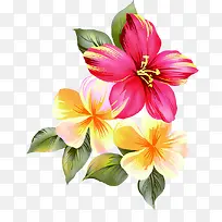 彩色花朵个性设计-空若网 彩色花朵个性设计-空若网