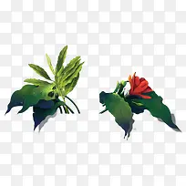 ֲ��-������