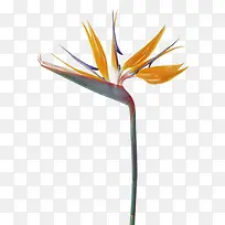 ��-������