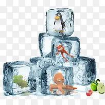 冰块中的动物-空若网 冰块中的动物-空若网