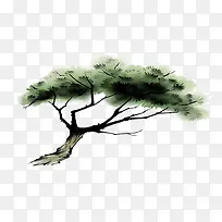 树-空若网 树-空若网