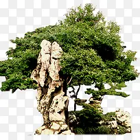 假山绿树公园景观-空若网 假山绿树公园景观-空若网