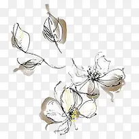 手绘花-空若网 手绘花-空若网