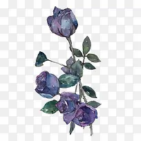 ˮ���ʻ�-������