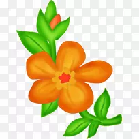 切花花卉图案花卉花瓣画花-空若网 切花花卉图案花卉花瓣画花-空若网