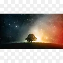璀璨星空苍穹大树-空若网 璀璨星空苍穹大树-空若网