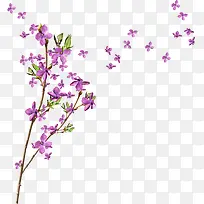 �ϻ�-������