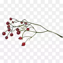 ��÷�����������-������