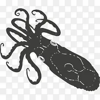 手绘昆虫-空若网 手绘昆虫-空若网