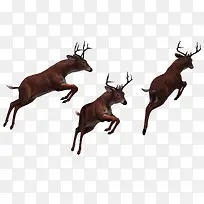 手绘图片手绘马-空若网 手绘图片手绘马-空若网