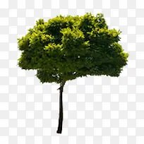 ��-������