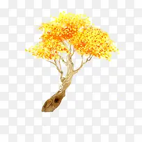 彩绘发财树-空若网 彩绘发财树-空若网