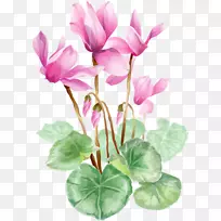 插花艺术-莲花-空若网 插花艺术-莲花-空若网