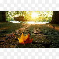 ��Ҷ��������С��-������