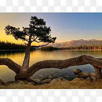 野外阳光河流小树-空若网 野外阳光河流小树-空若网