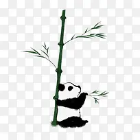 ˮ����è-������