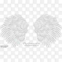 ��� ��ʹ�ĳ�� ʵ��-������