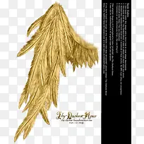 翅膀 天使的翅膀 实物-空若网 翅膀 天使的翅膀 实物-空若网