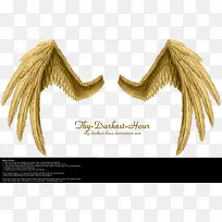 翅膀 天使的翅膀 实物-空若网 翅膀 天使的翅膀 实物-空若网