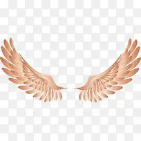 ��ʹ�ĳ��-������