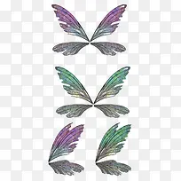 翅膀-空若网 翅膀-空若网