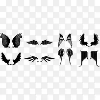 黑色翅膀-空若网 黑色翅膀-空若网