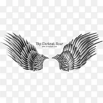 翅膀 天使的翅膀 实物-空若网 翅膀 天使的翅膀 实物-空若网