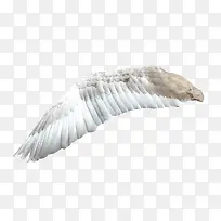 Ììʹ³á°ò-¿ÕÈôÍø Ììʹ³á°ò-¿ÕÈôÍø