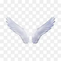 天使翅膀-空若网 天使翅膀-空若网