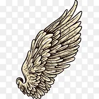 翅膀-空若网 翅膀-空若网