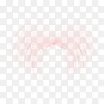 透明翅膀-空若网 透明翅膀-空若网