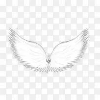 ��׵���ʹ���-������