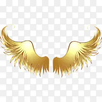 天使翅膀素材-空若网 天使翅膀素材-空若网