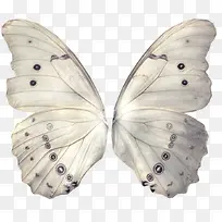 ���-������