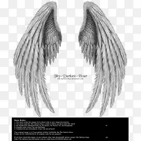 翅膀 天使的翅膀 实物-空若网 翅膀 天使的翅膀 实物-空若网