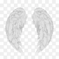 翅膀-空若网 翅膀-空若网