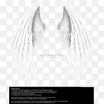 ��� ��ʹ�ĳ�� ʵ��-������