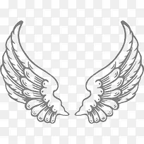 天使的翅膀-空若网 天使的翅膀-空若网