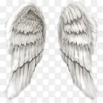 天使羽毛翅膀高清背景图-空若网 天使羽毛翅膀高清背景图-空若网