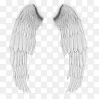 淡灰色天使翅膀-空若网 淡灰色天使翅膀-空若网