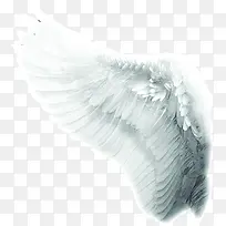 天使的翅膀艺术背景素材-空若网 天使的翅膀艺术背景素材-空若网