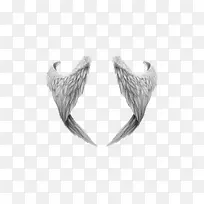 翅膀灰色翅膀天使精灵-空若网 翅膀灰色翅膀天使精灵-空若网