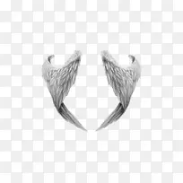 灰色的天使翅膀-空若网 灰色的天使翅膀-空若网