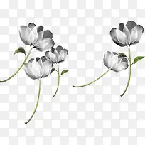 ��ͨ�ֻ��λû�-������